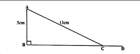 Diagram for ECZ 2021 · GCE Paper 1