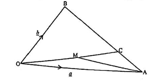 Diagram for ECZ 2019 · GCE Paper 2 · Question 3